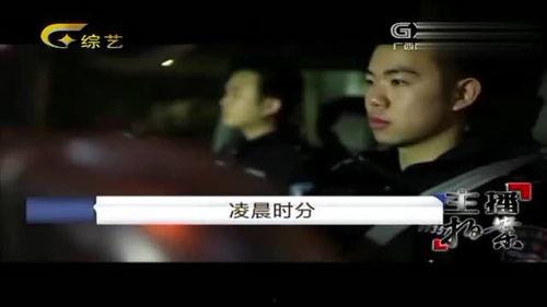 龙飞娱乐吃瓜,揭秘娱乐圈最新“吃瓜”事件